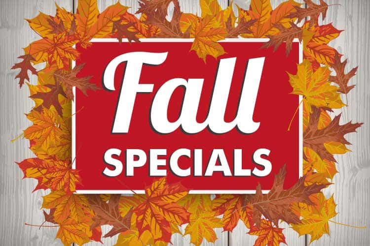 fall specials graphic.