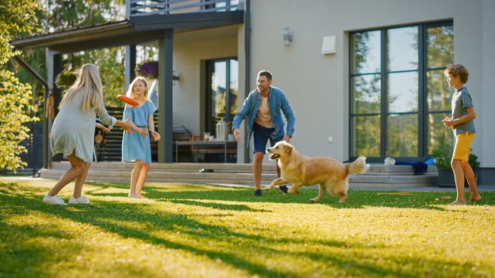 Family playing with a dog and a frisbee in a grassy backyard on a sunny day, with a modern house and deck in the background, while discussing their recent propane delivery.